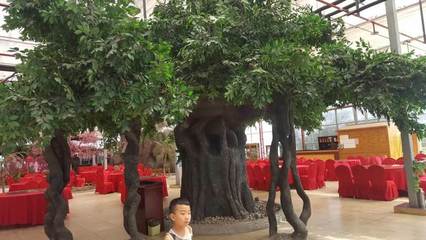 西安园林景观工程中的点睛之笔 真伪银杏树的艺术融合